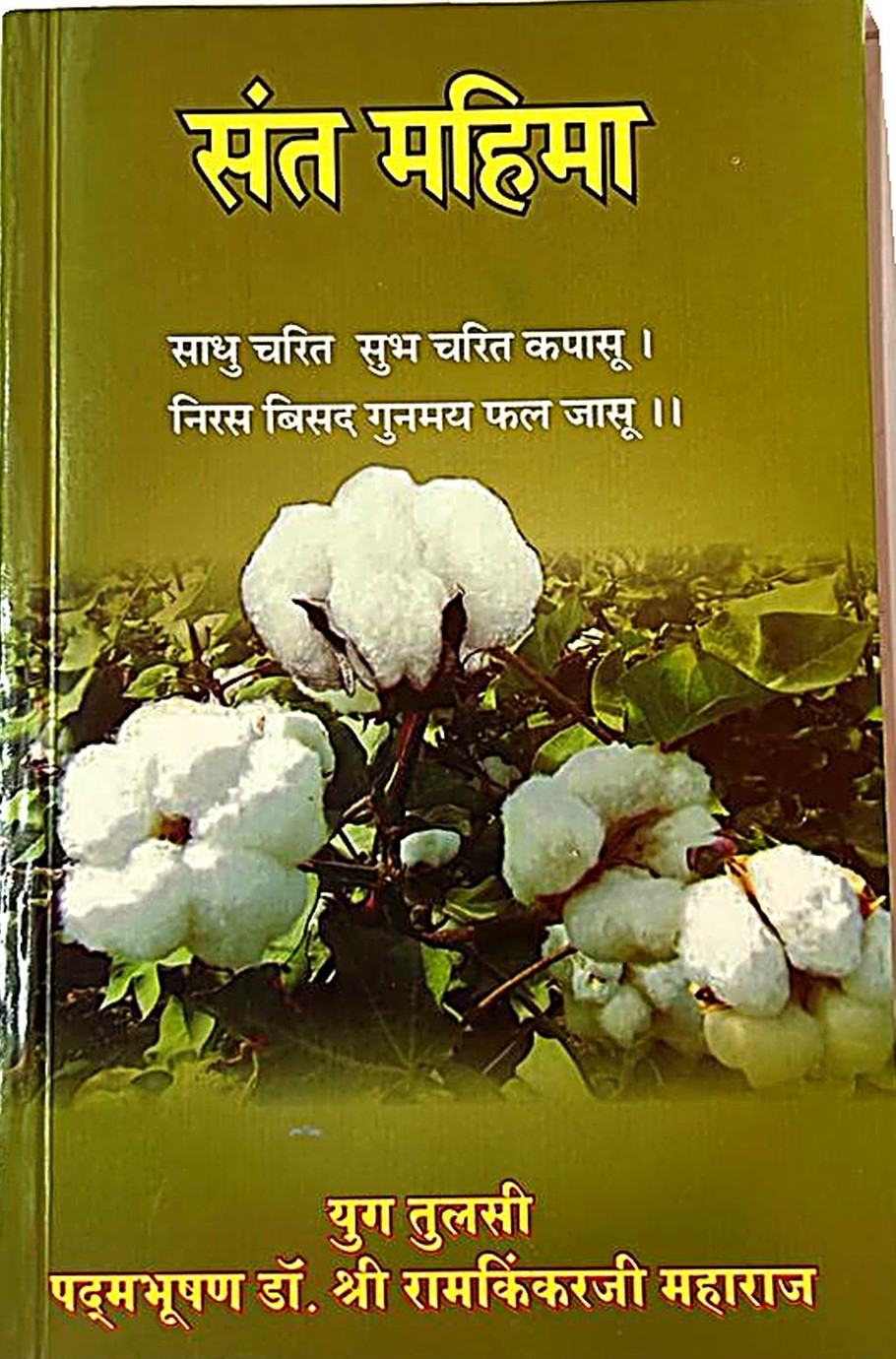 Sant Mahima (Glory of the Saint)